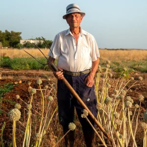 Foto de José Fernandes