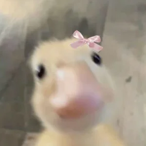 Foto de gabby
