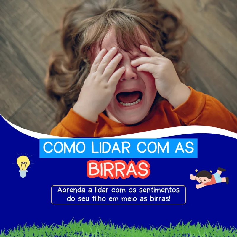 Como Lidar com as Birras