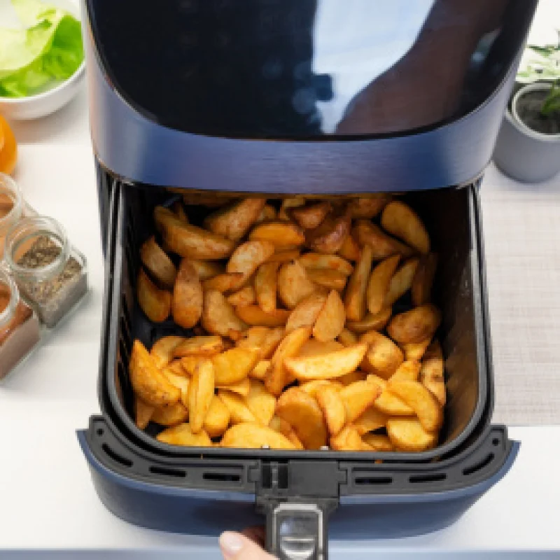 Air Fryer Proteica / Sem glúten